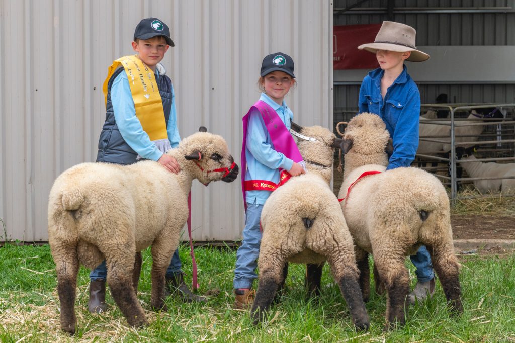 Seb named junior champion