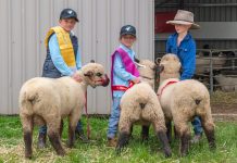 Seb named junior champion