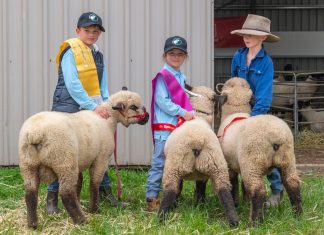 Seb named junior champion