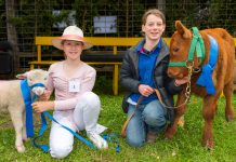 Record turnout to Kyneton Show
