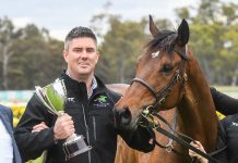 Kyneton Cup to Station One