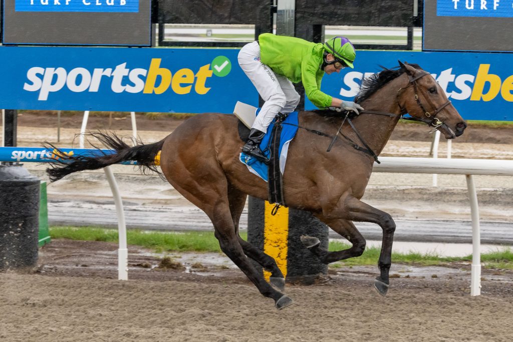 Kyneton Cup at Bendigo today