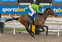 Kyneton Cup at Bendigo today