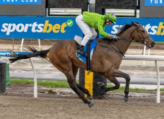 Kyneton Cup at Bendigo today