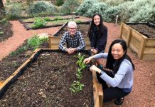 The Paddock on the home stretch