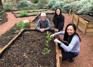 The Paddock on the home stretch