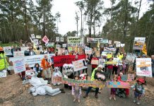 Forest conservationists fear union wants logging to return
