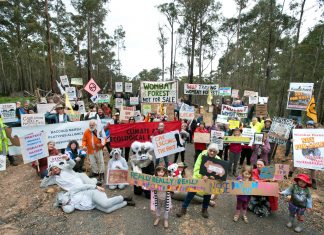 Forest conservationists fear union wants logging to return