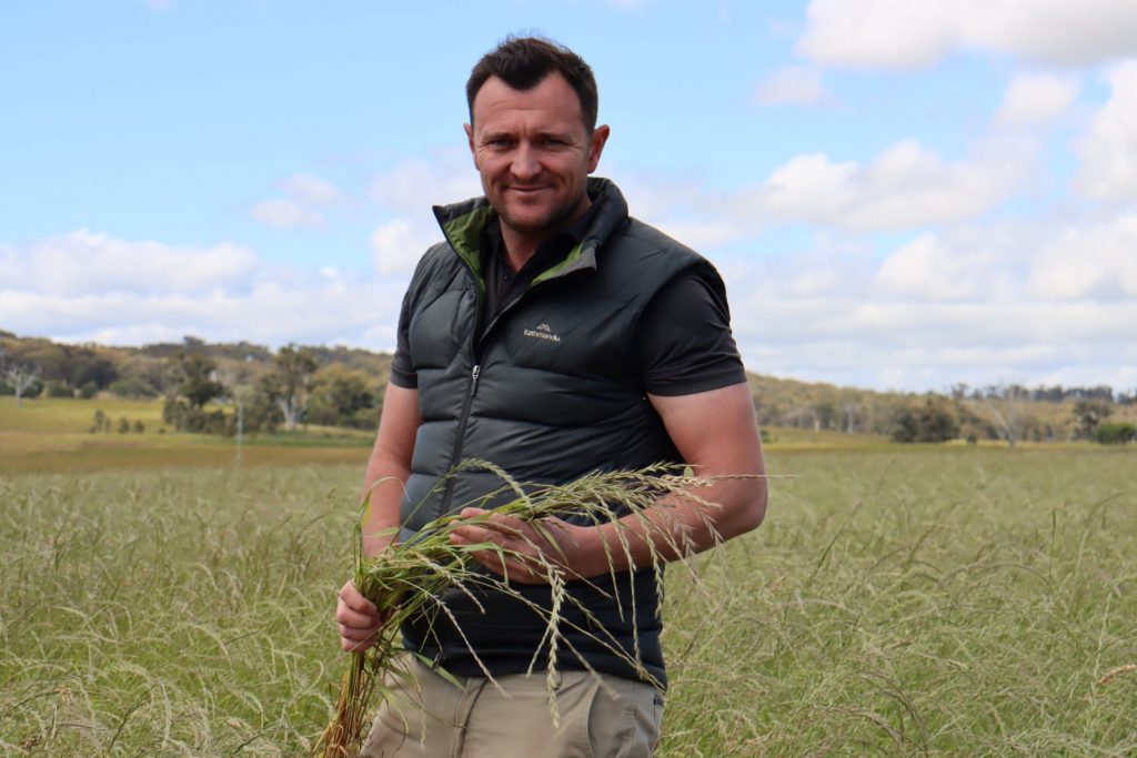 Rural land plan axed