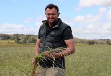 Rural land plan axed