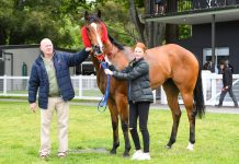 Sell-a-brations on home track