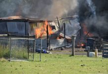 Shed fire at Lauriston