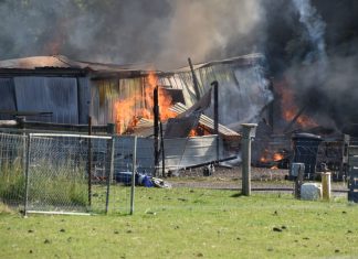 Shed fire at Lauriston