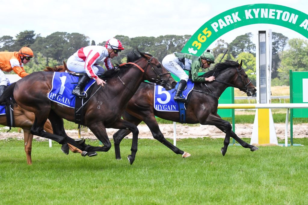 The Genius lives up to name