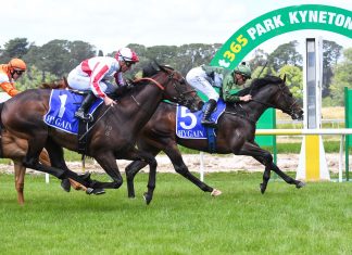 The Genius lives up to name