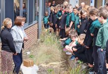 Sharing knowledge across time