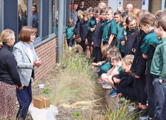 Sharing knowledge across time