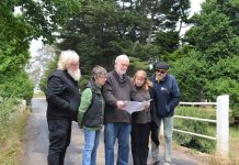 Bridge back on agenda