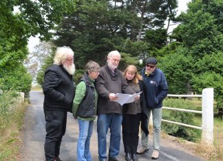 Bridge back on agenda