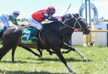 Six races at the Rock