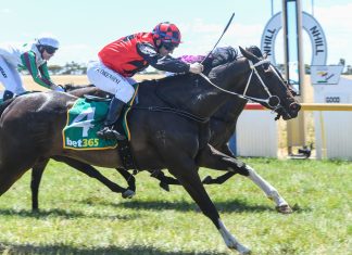 Six races at the Rock