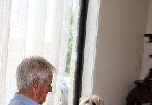 Dexter to the rescue