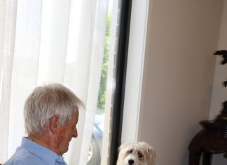 Dexter to the rescue