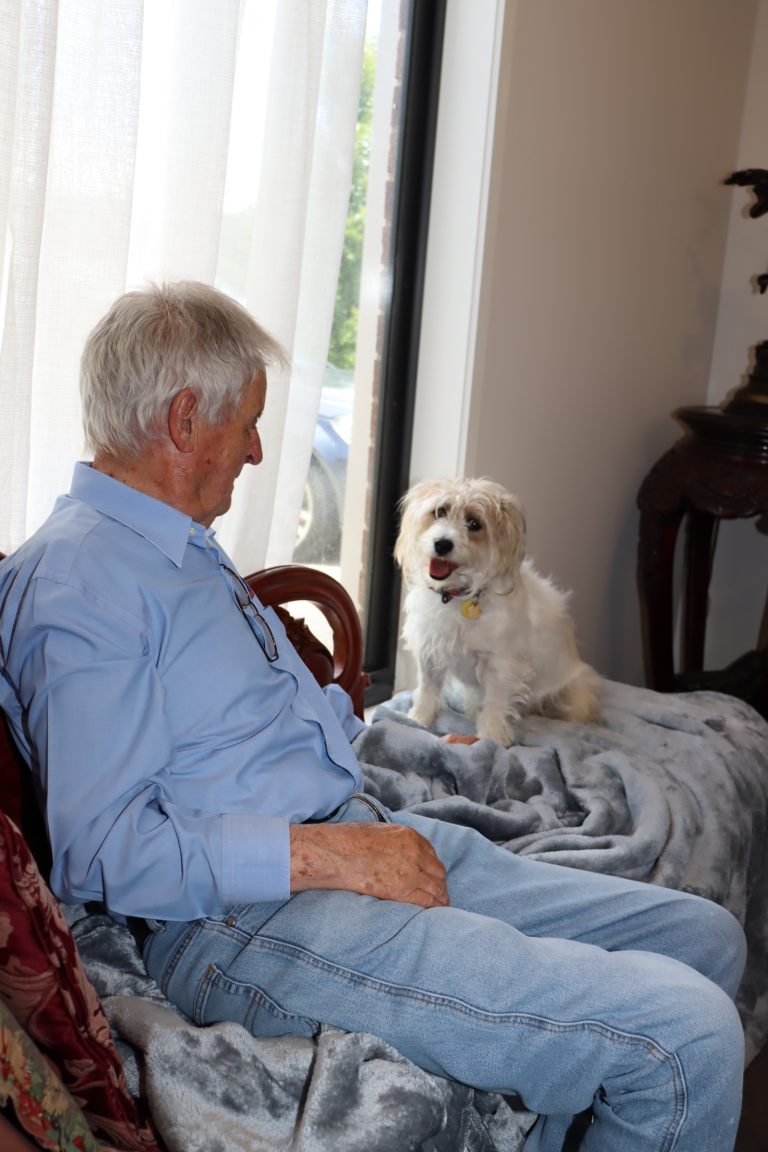 Dexter to the rescue