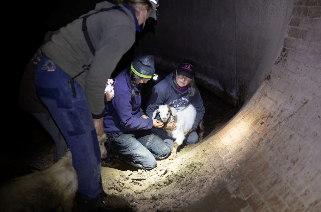 Kids rescued from drain