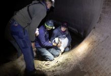Kids rescued from drain