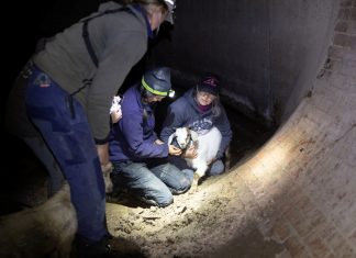 Kids rescued from drain