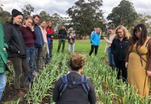 Pop up garlic farmers program