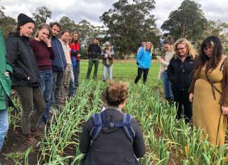 Pop up garlic farmers program