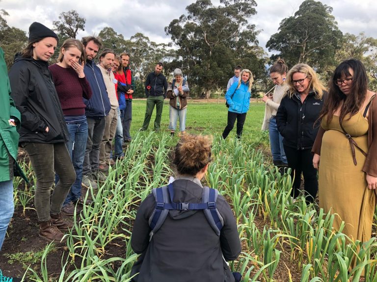 Pop up garlic farmers program