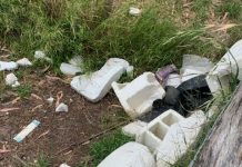 Rubbish mars the marshland