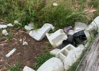 Rubbish mars the marshland