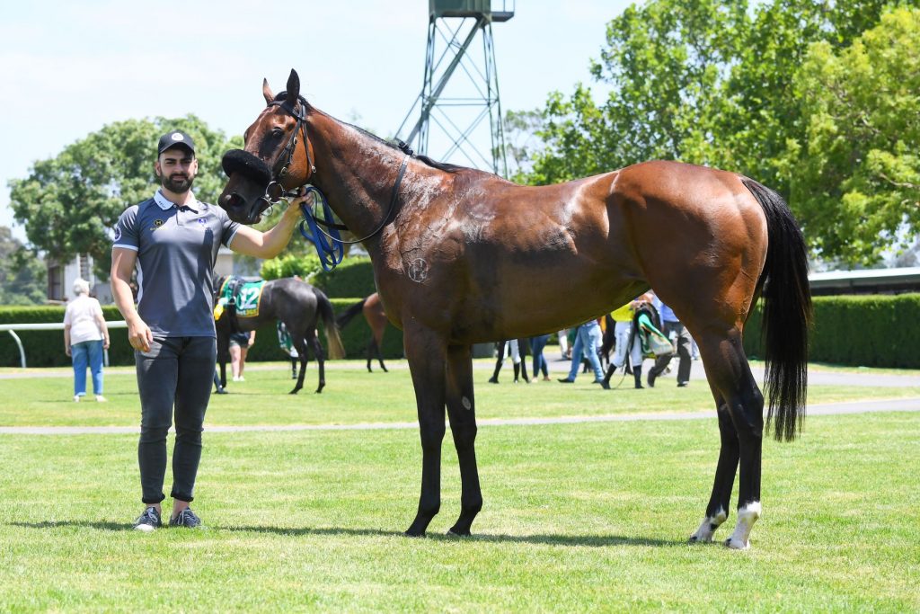 Tylden stable firing
