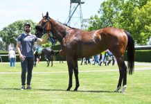 Tylden stable firing