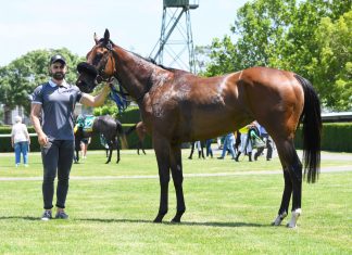 Tylden stable firing