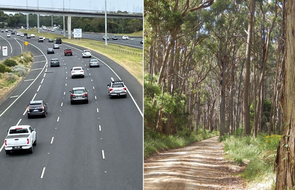 Legalised ‘rally driving’