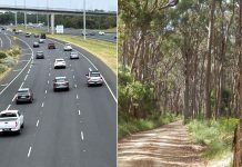 Legalised ‘rally driving’