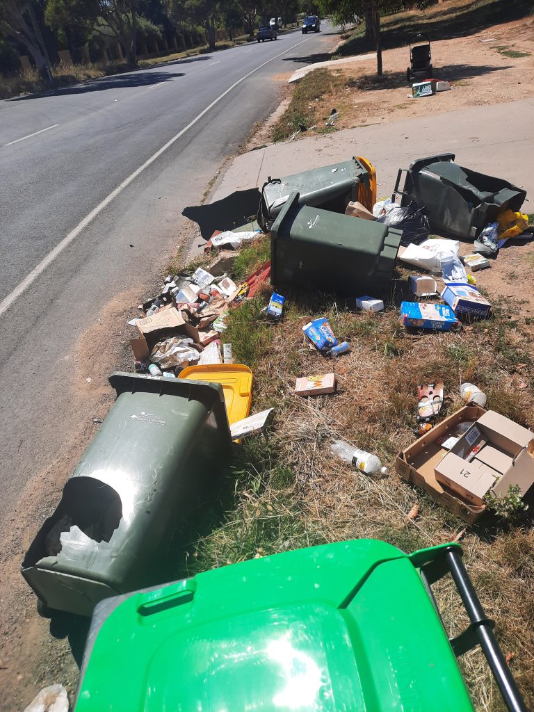 Bin bandit put on notice