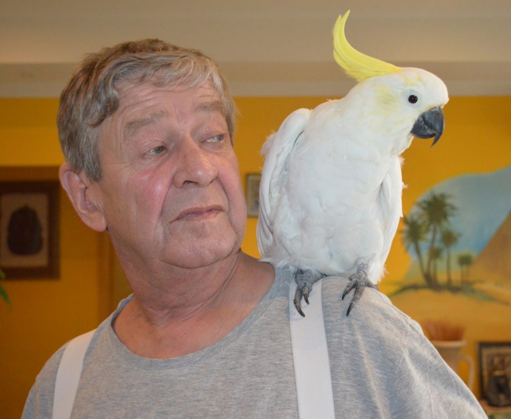 Brave Gertie battles on