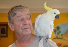 Brave Gertie battles on