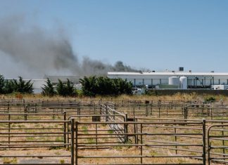 Fire at Kyneton meatworks