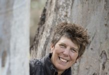 The wonderful world of fungi