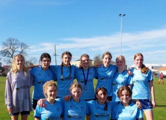 More girls to save soccer