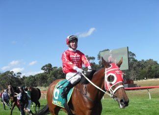 Woodend Cup at Kyneton