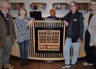 Art lovers – become a museum guide