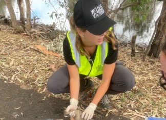 Duck death toll climbs